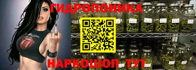 PSILOCYBIN Сланцы