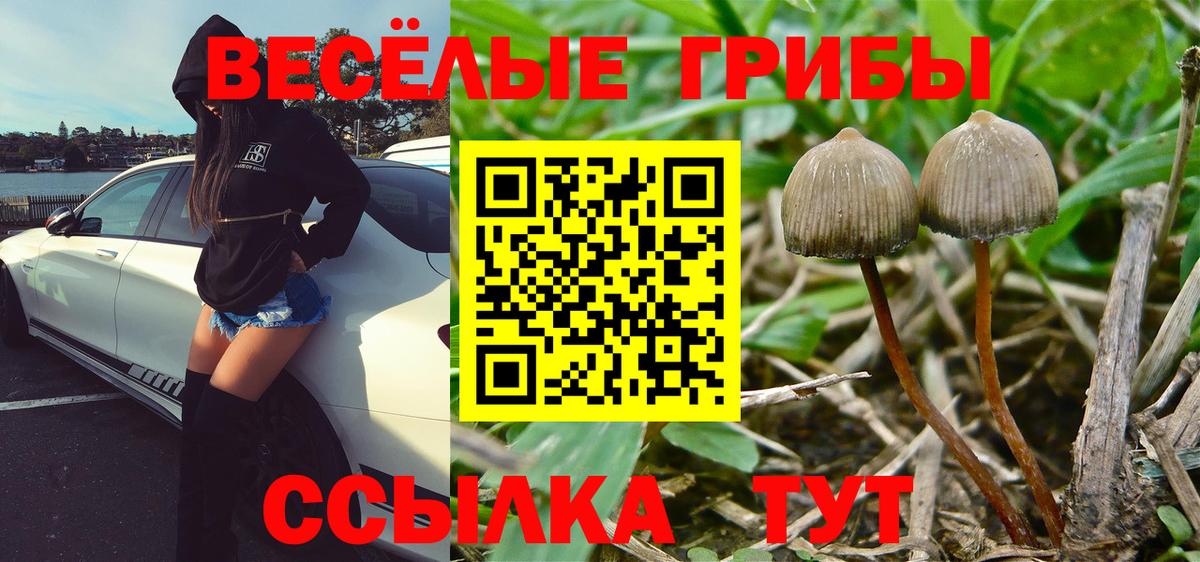 Псилоцибиновые грибы ЛСД  Вход с VPN  наркотики  Нижний Новгород 