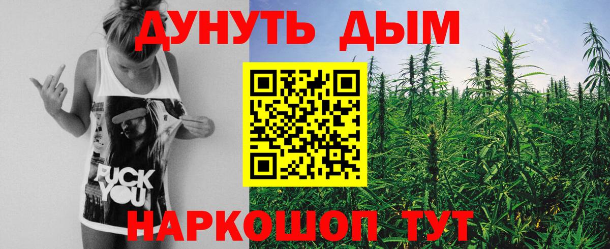 Шишки марихуана марихуана Нижний Новгород